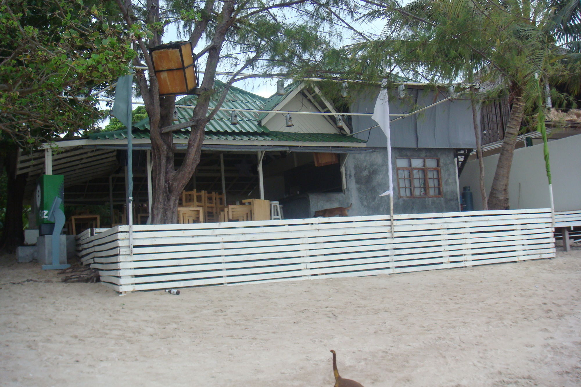 Silver Sands Beach Resort Tau-sziget Kültér fotó